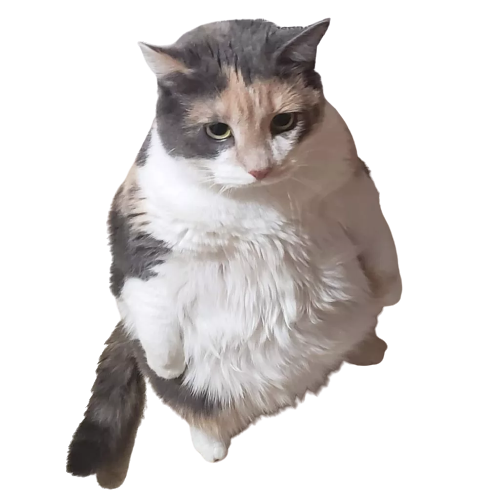 minecraft voting icon